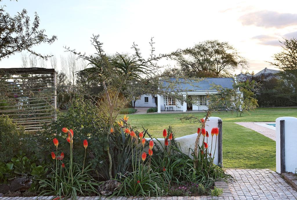 Elephant House Addo Exterior photo